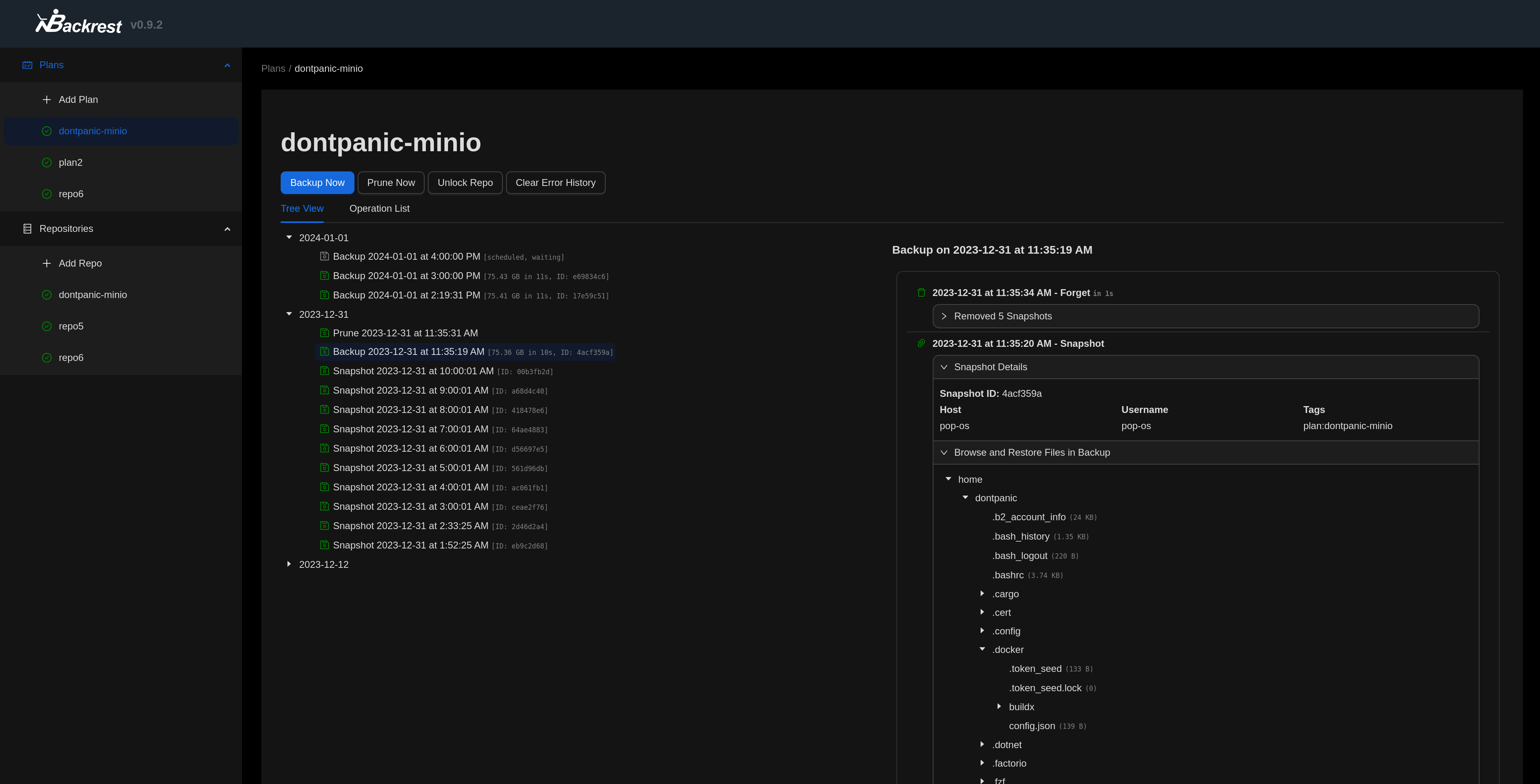 Backrest Screenshot