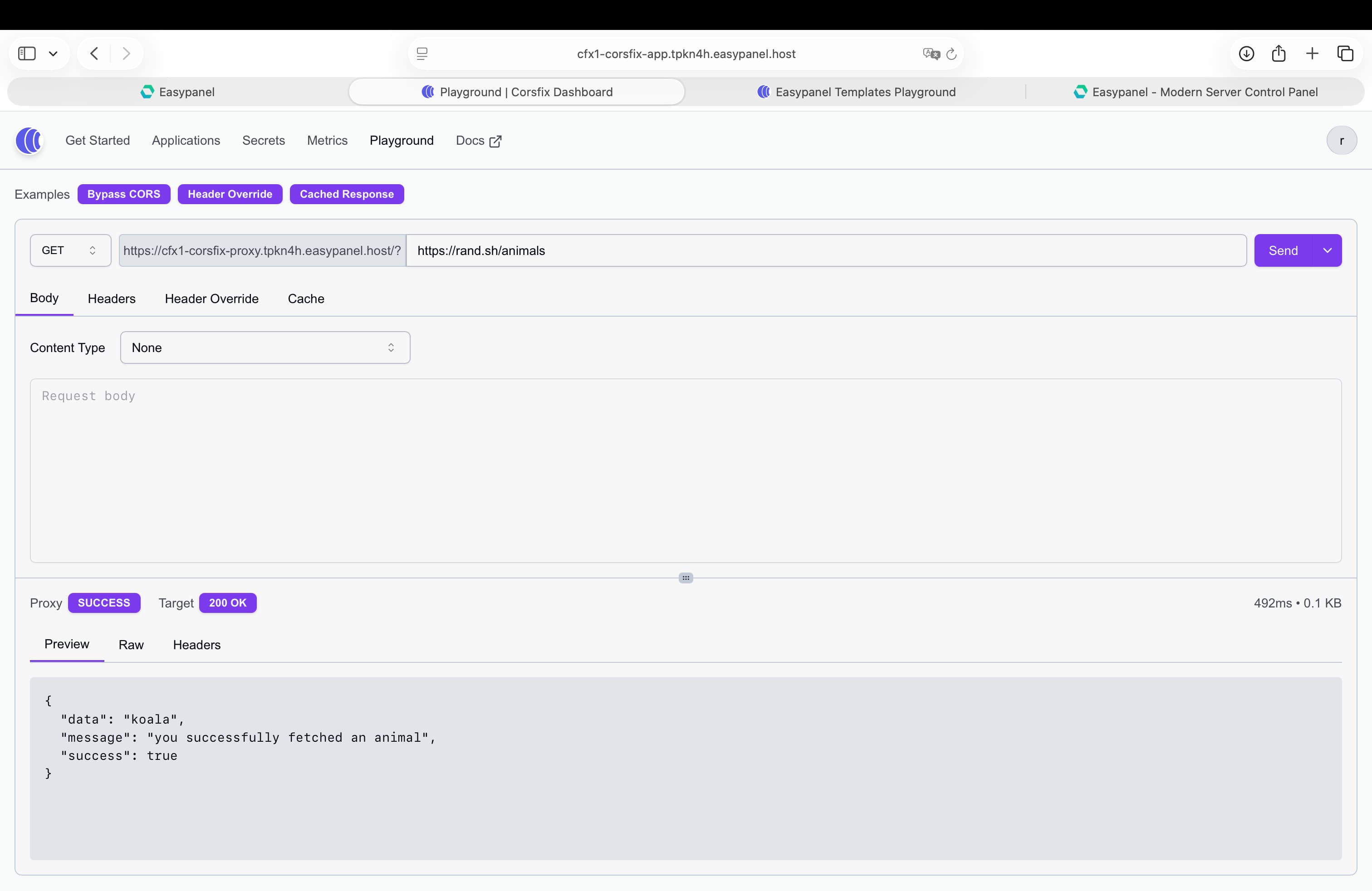 Corsfix Screenshot